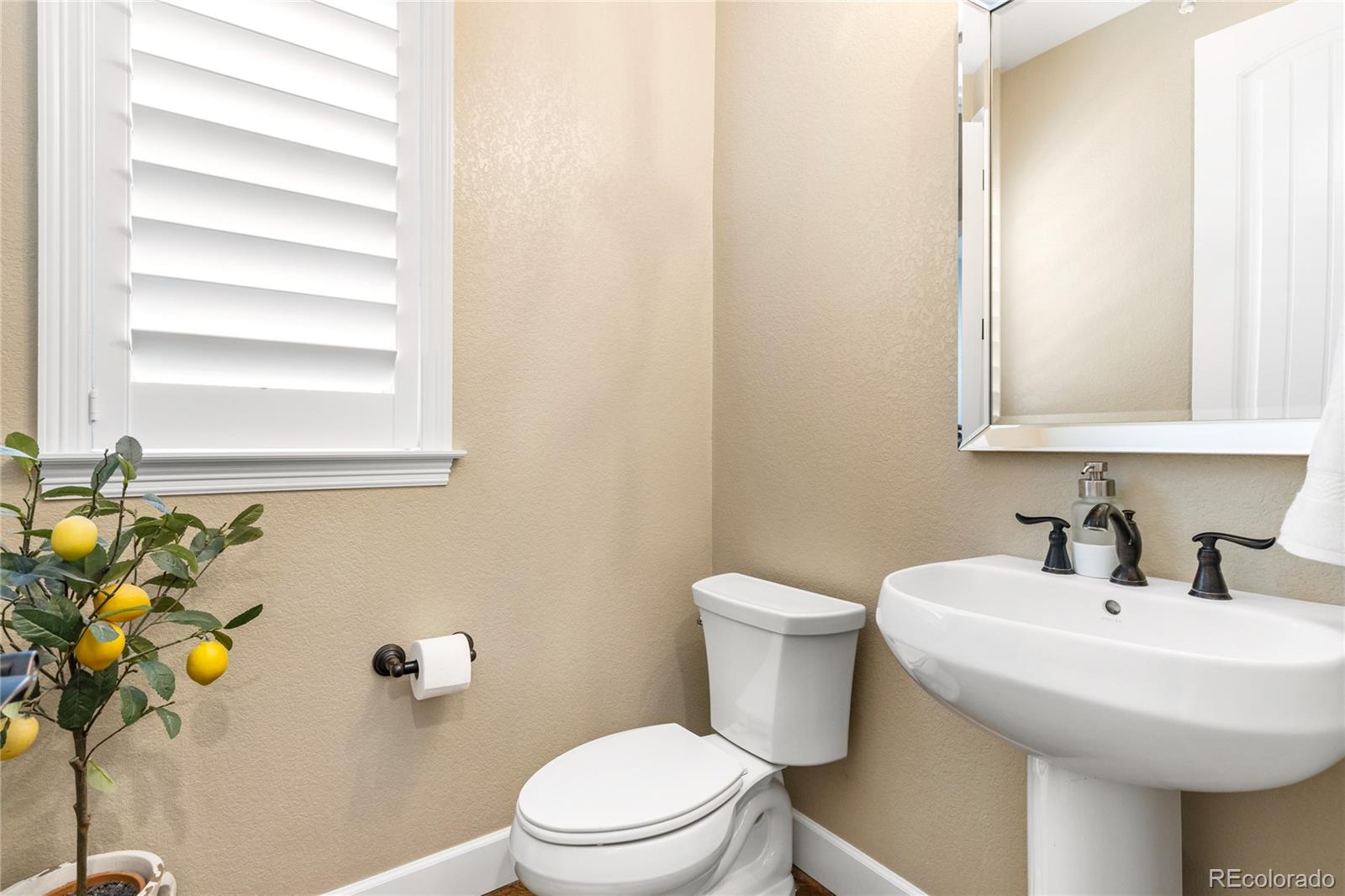 MLS Image #15 for 1128  starglow place,highlands ranch, Colorado