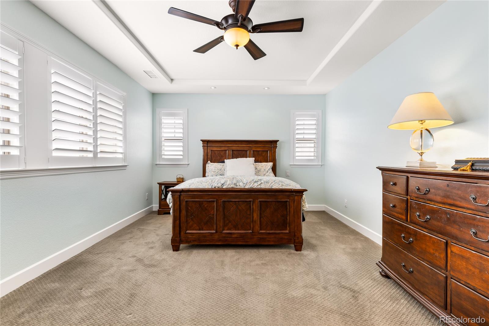 MLS Image #17 for 1128  starglow place,highlands ranch, Colorado