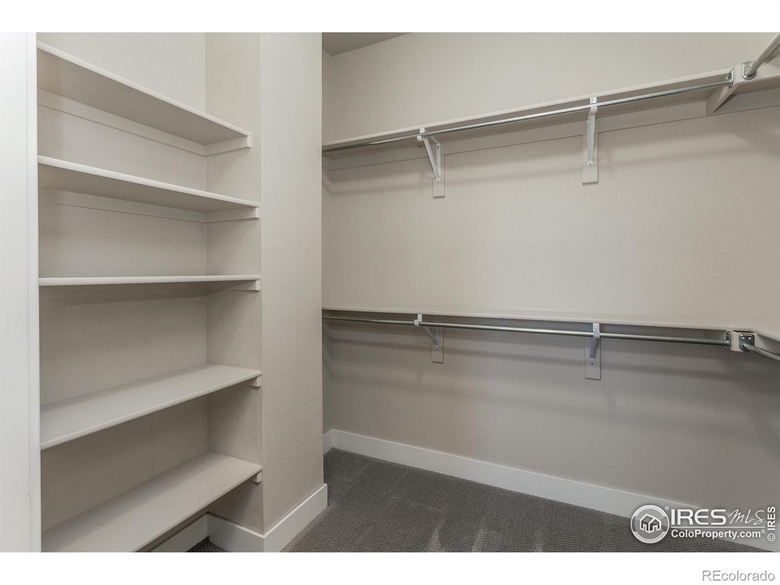 MLS Image #21 for 2715  rockford drive,fort collins, Colorado
