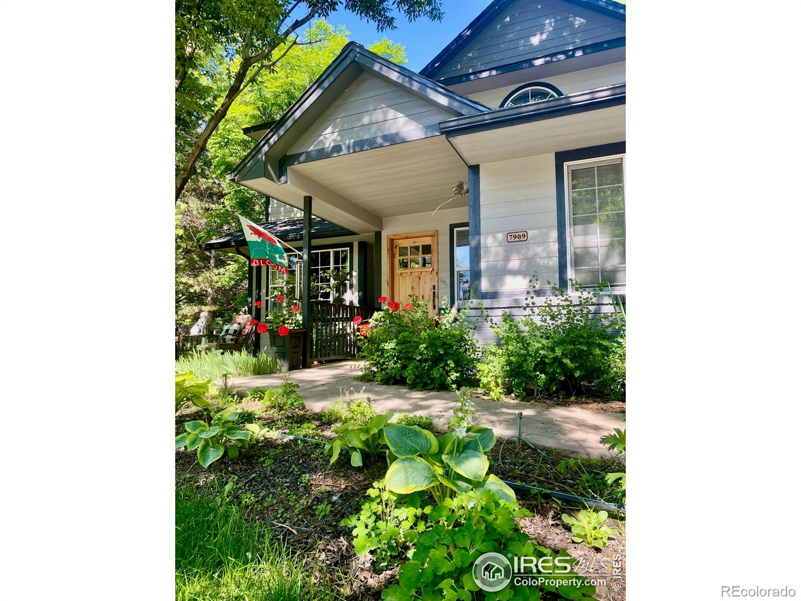 CMA Image for 7909  fairfax court,Niwot, Colorado