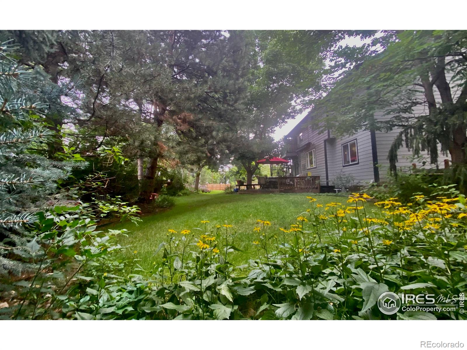 MLS Image #35 for 7909  fairfax court,niwot, Colorado