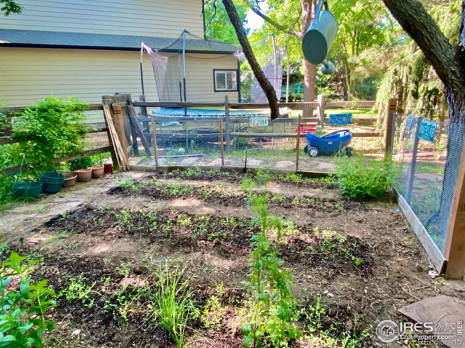 MLS Image #9 for 7909  fairfax court,niwot, Colorado