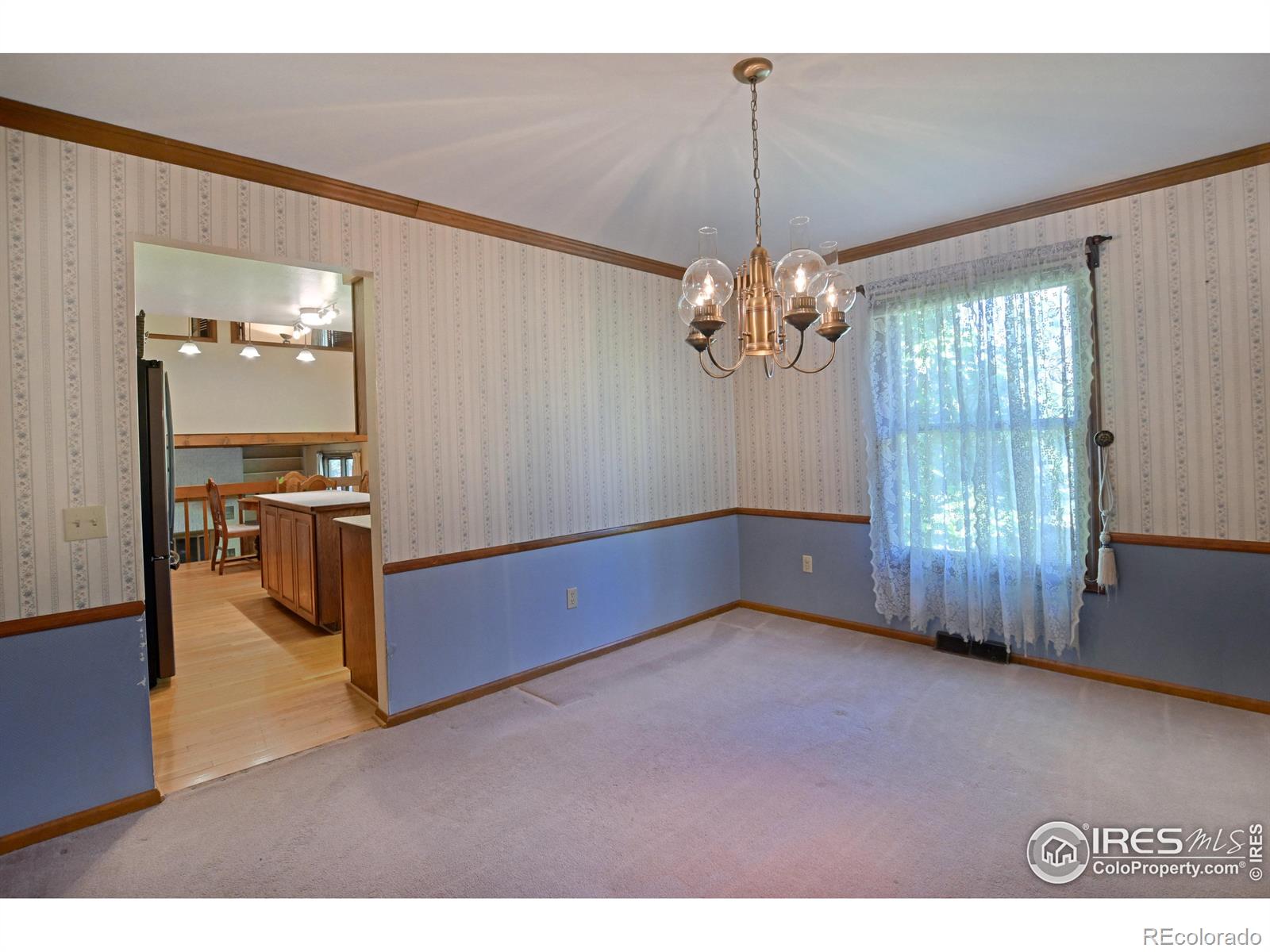 MLS Image #11 for 3327  pineridge place,fort collins, Colorado