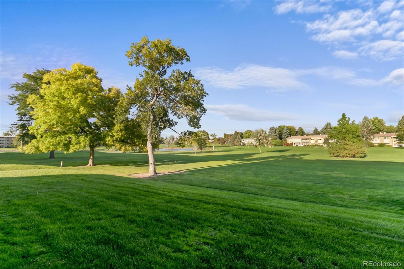 MLS Image #38 for 720 s clinton street,denver, Colorado