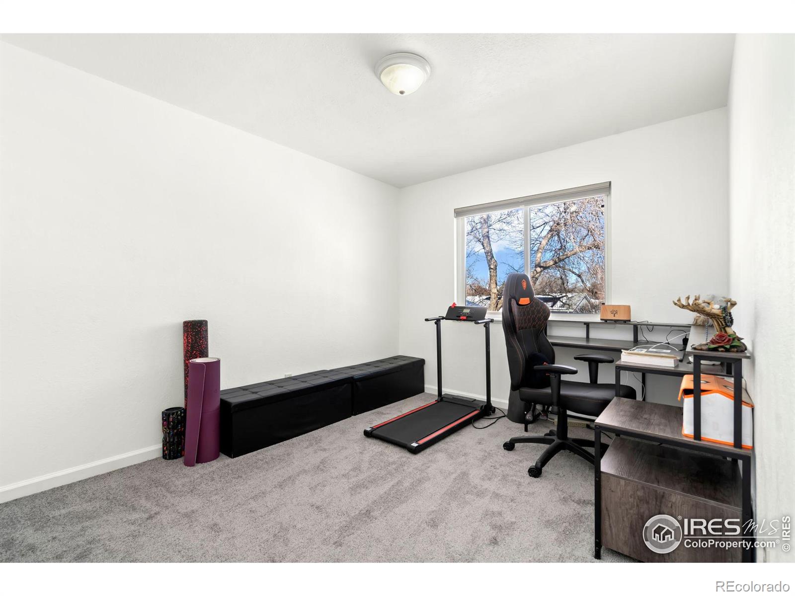 MLS Image #15 for 703  shipman mountain court,windsor, Colorado
