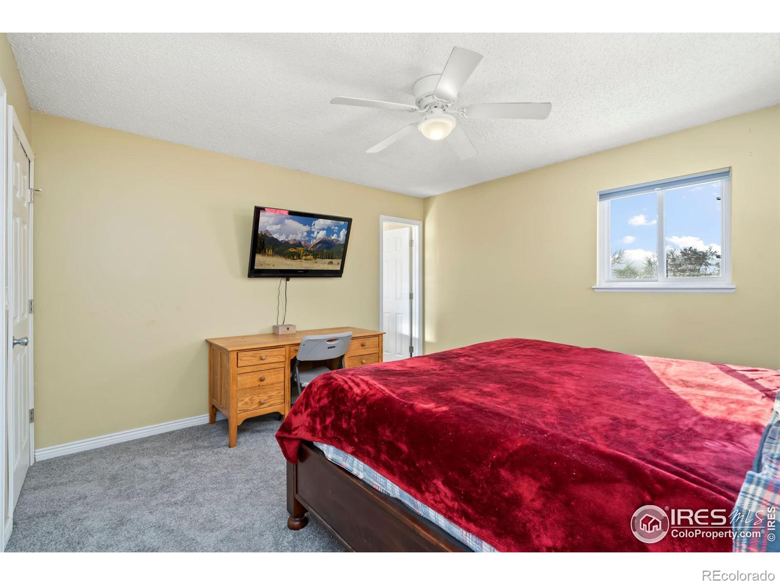 MLS Image #16 for 703  shipman mountain court,windsor, Colorado