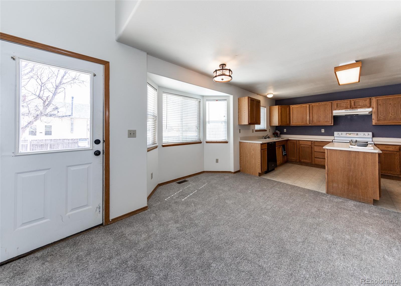 MLS Image #11 for 946  lake ,fountain, Colorado