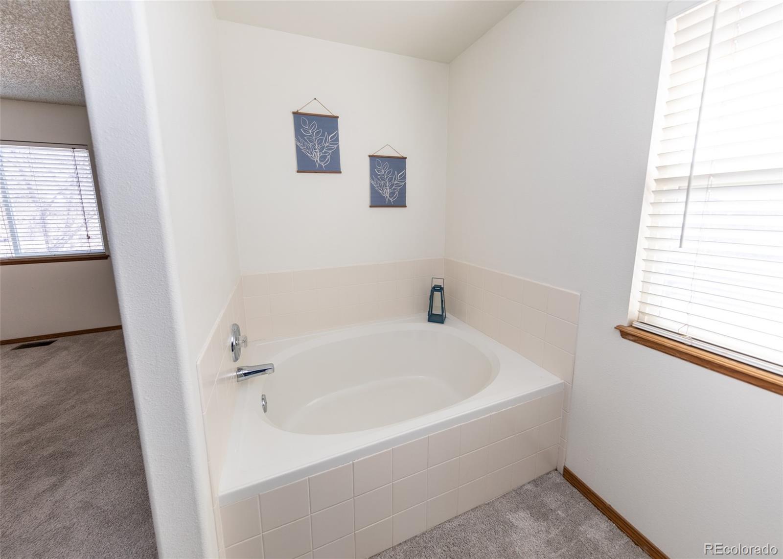 MLS Image #29 for 946  lake ,fountain, Colorado