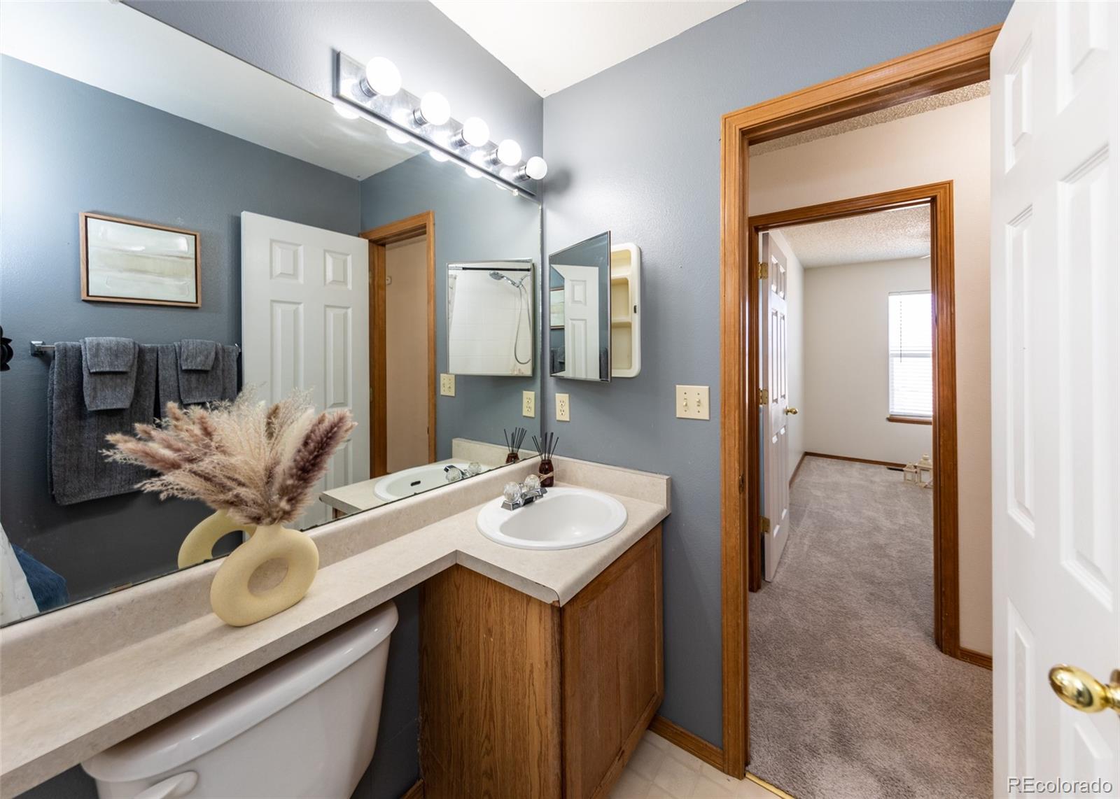 MLS Image #38 for 946  lake ,fountain, Colorado