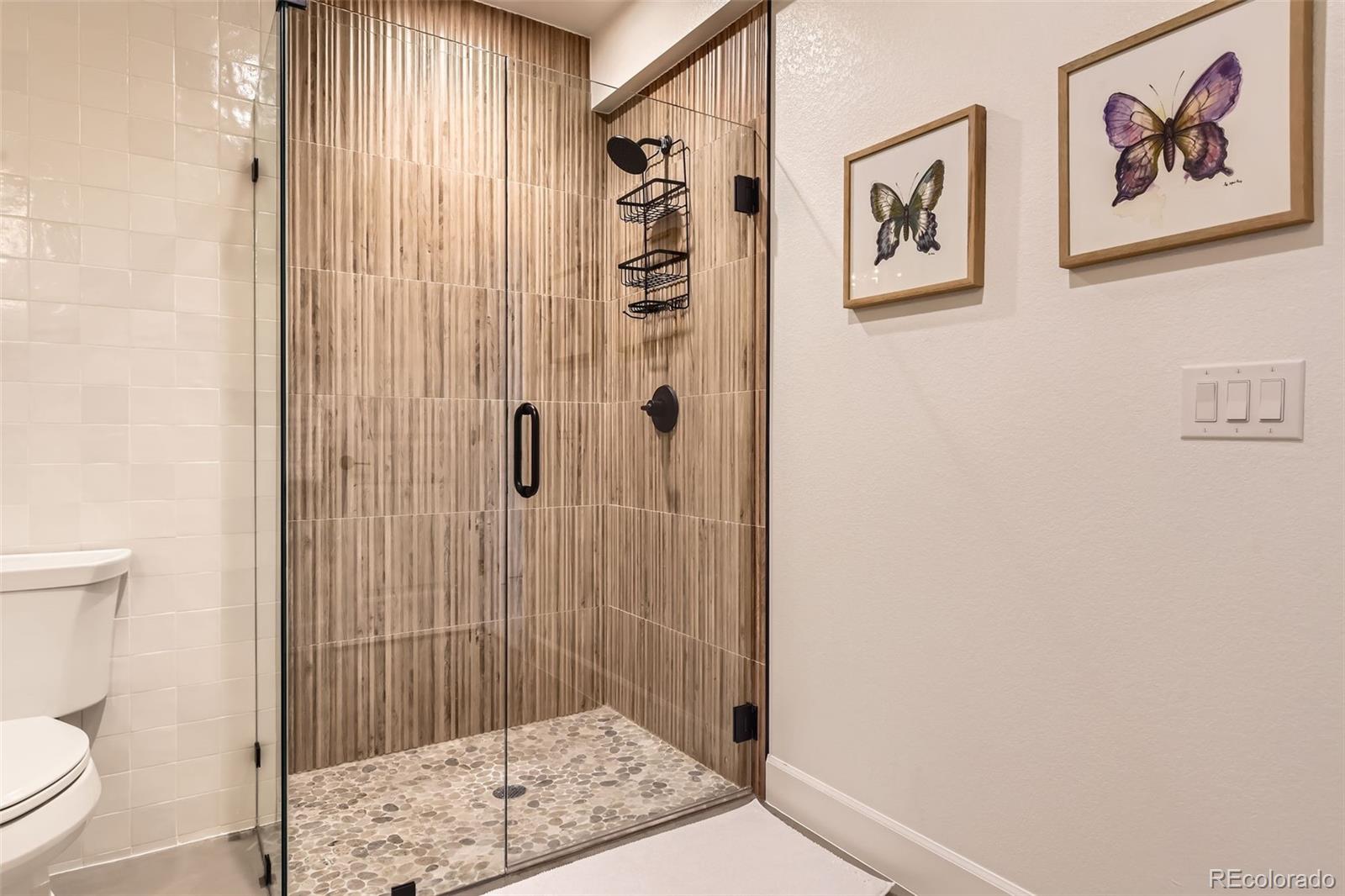MLS Image #25 for 579  backcountry lane,highlands ranch, Colorado