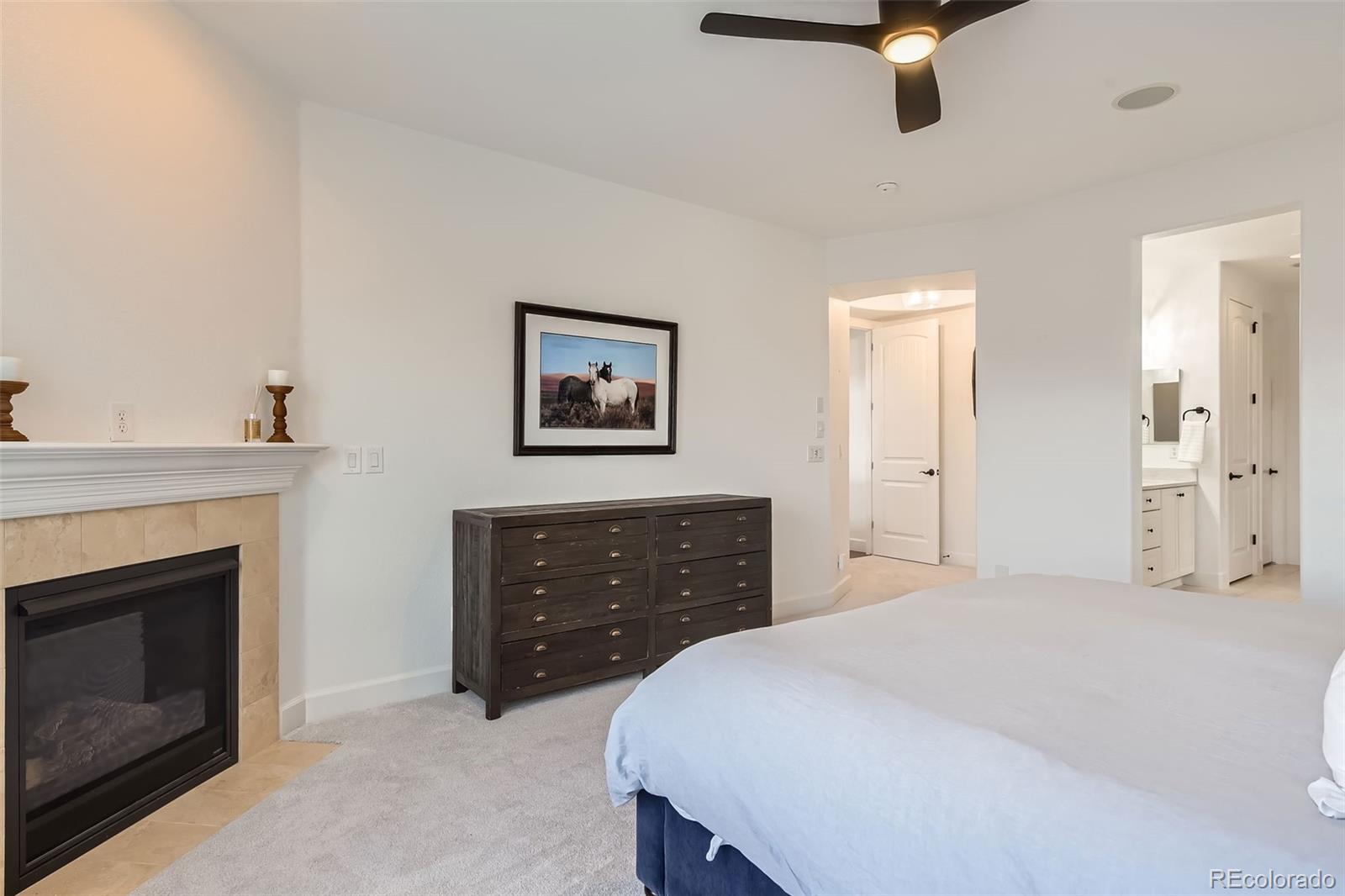 MLS Image #9 for 579  backcountry lane,highlands ranch, Colorado