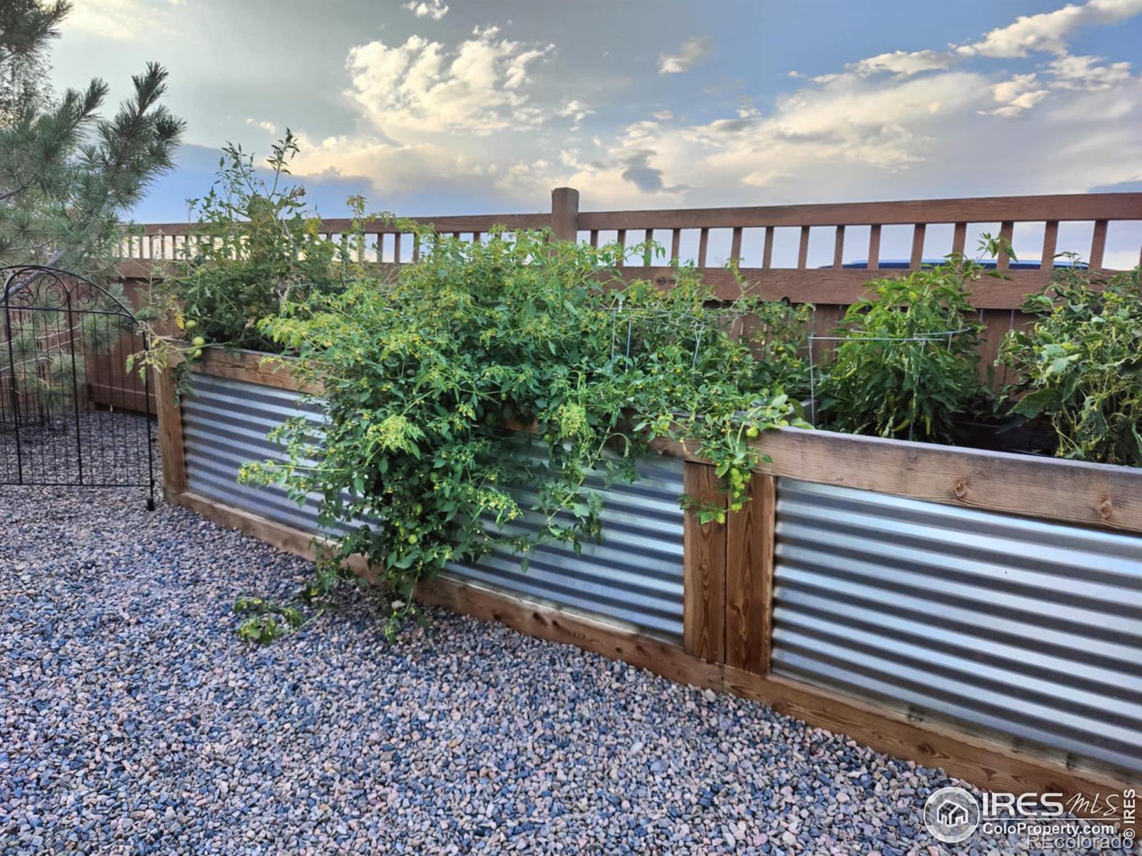 MLS Image #26 for 6539  empire avenue,frederick, Colorado
