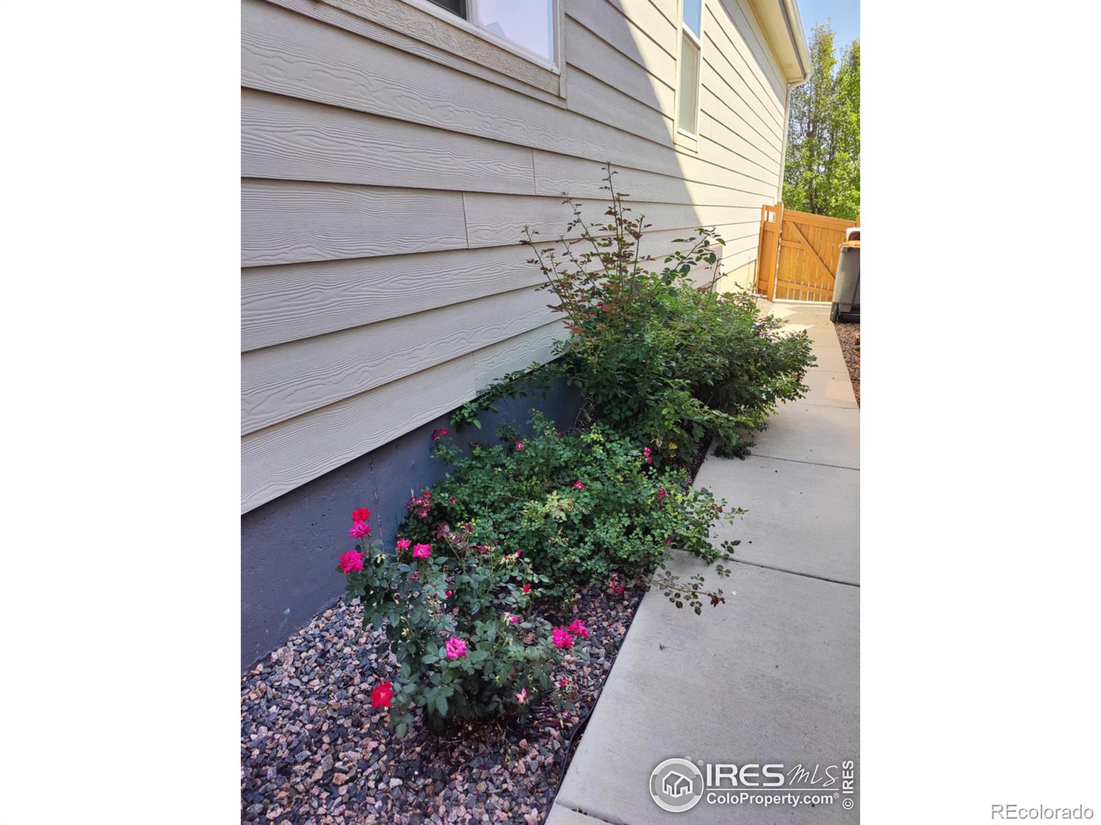 MLS Image #28 for 6539  empire avenue,frederick, Colorado