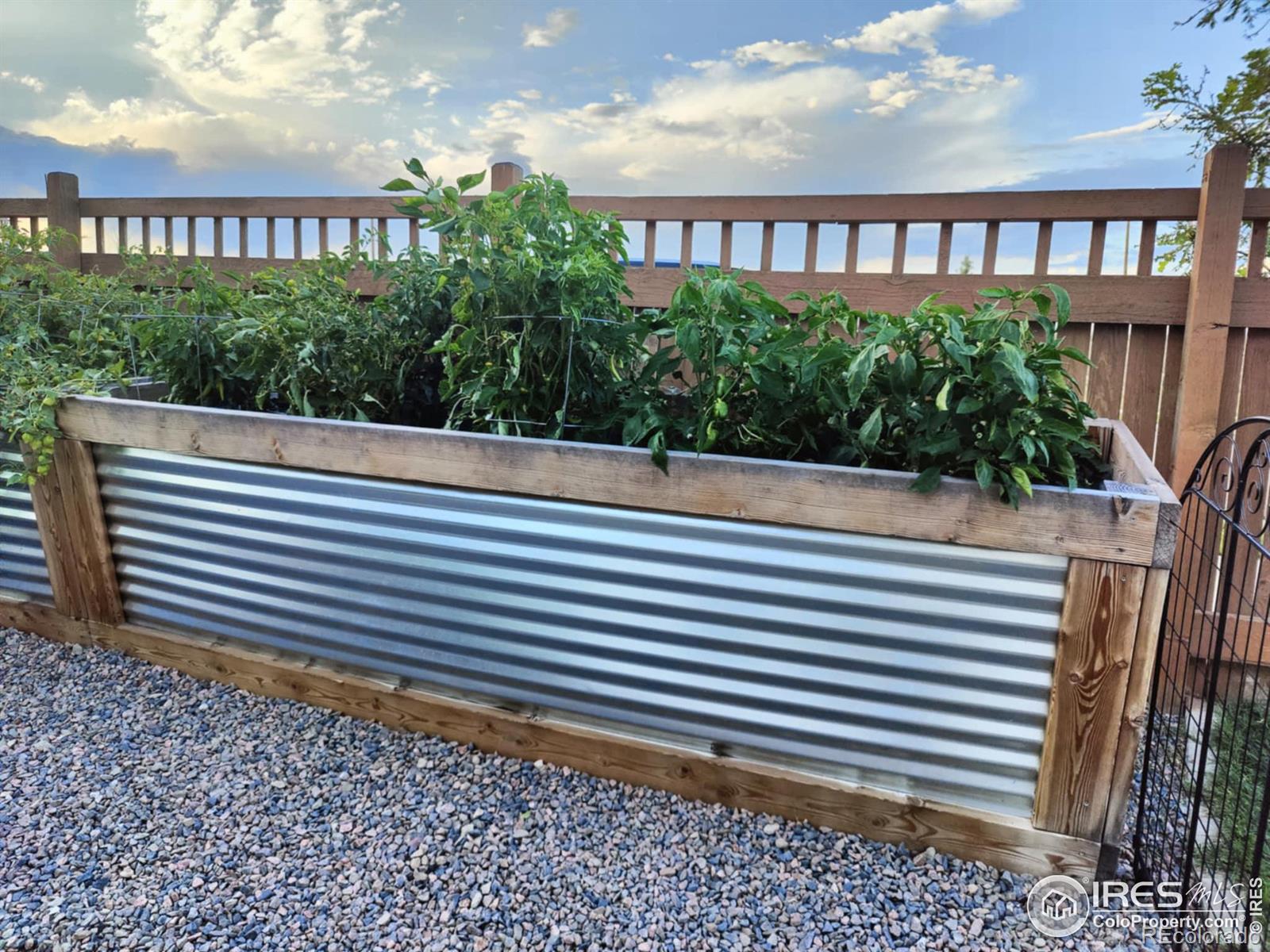 MLS Image #29 for 6539  empire avenue,frederick, Colorado