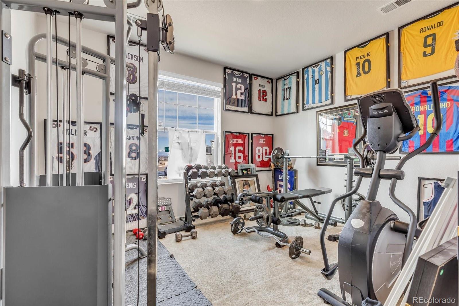 MLS Image #16 for 9694  truckee street,commerce city, Colorado