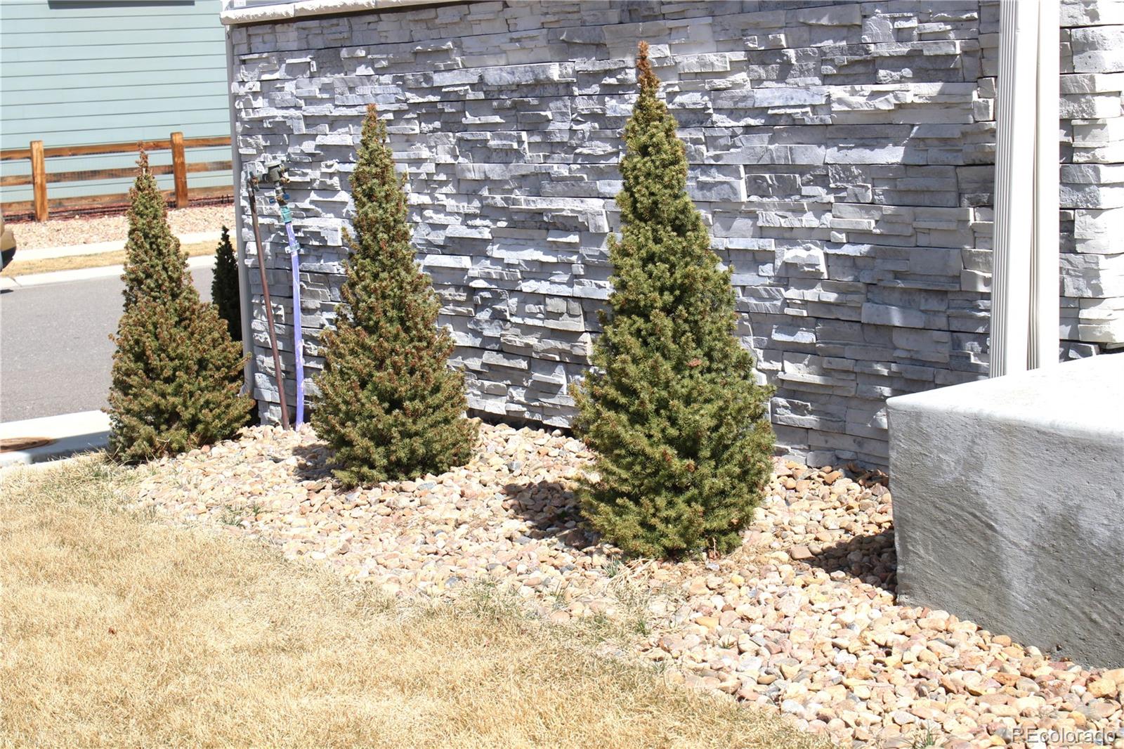 MLS Image #27 for 9694  truckee street,commerce city, Colorado
