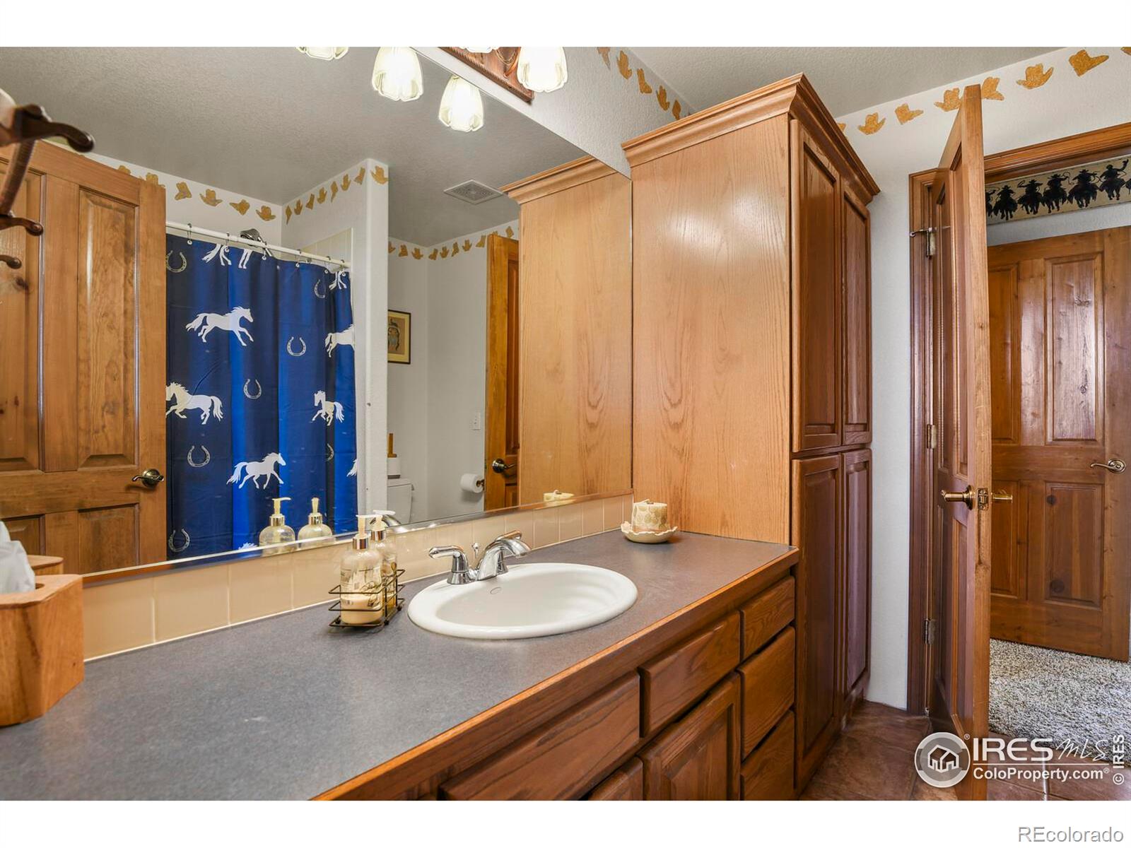 MLS Image #19 for 14219  county road 22 ,fort lupton, Colorado