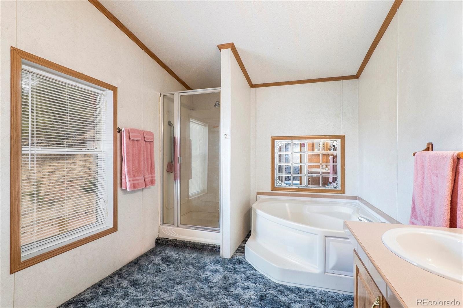 MLS Image #12 for 523  monarch drive,cripple creek, Colorado