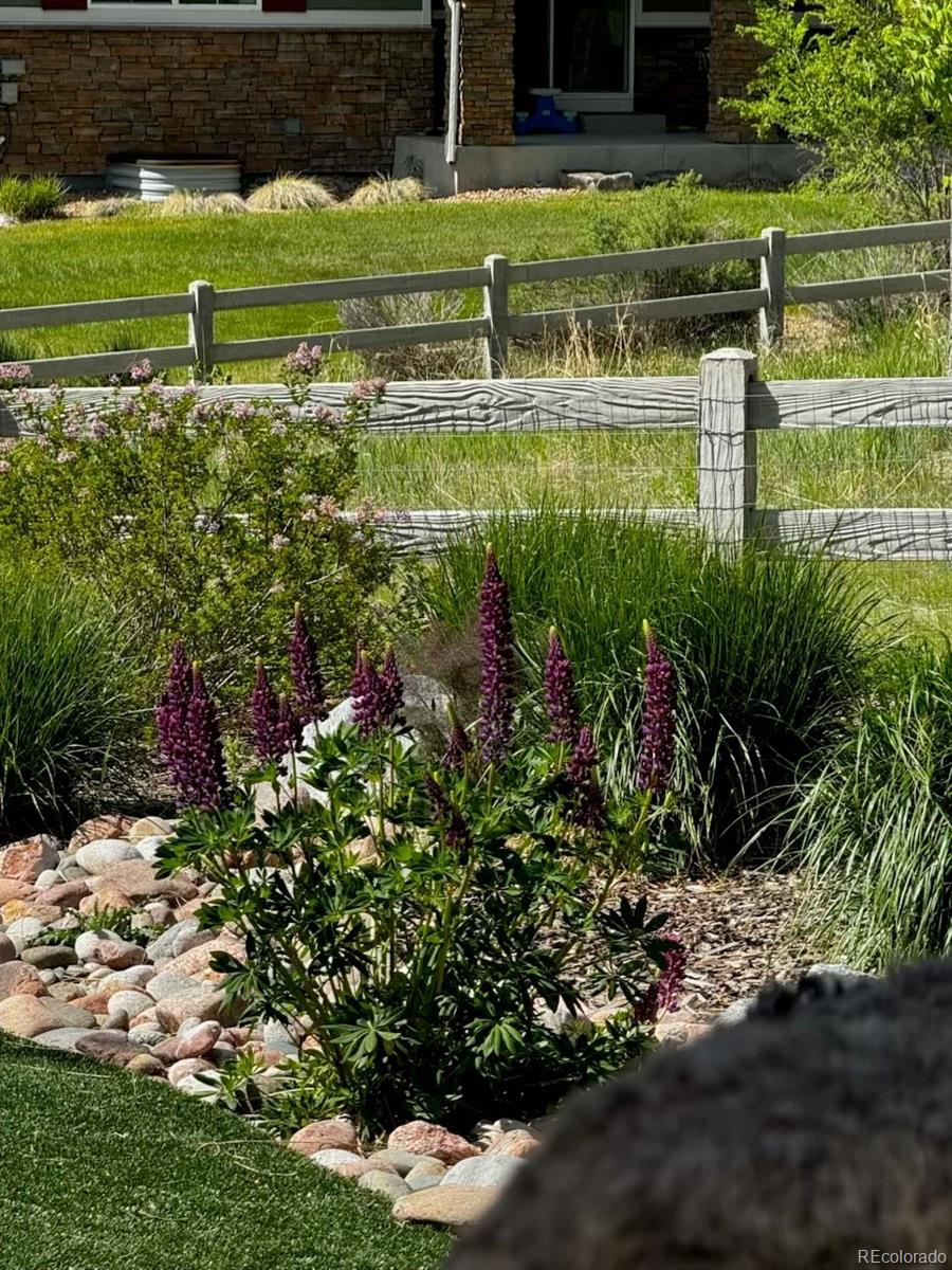 MLS Image #43 for 10526  fairhurst way,highlands ranch, Colorado