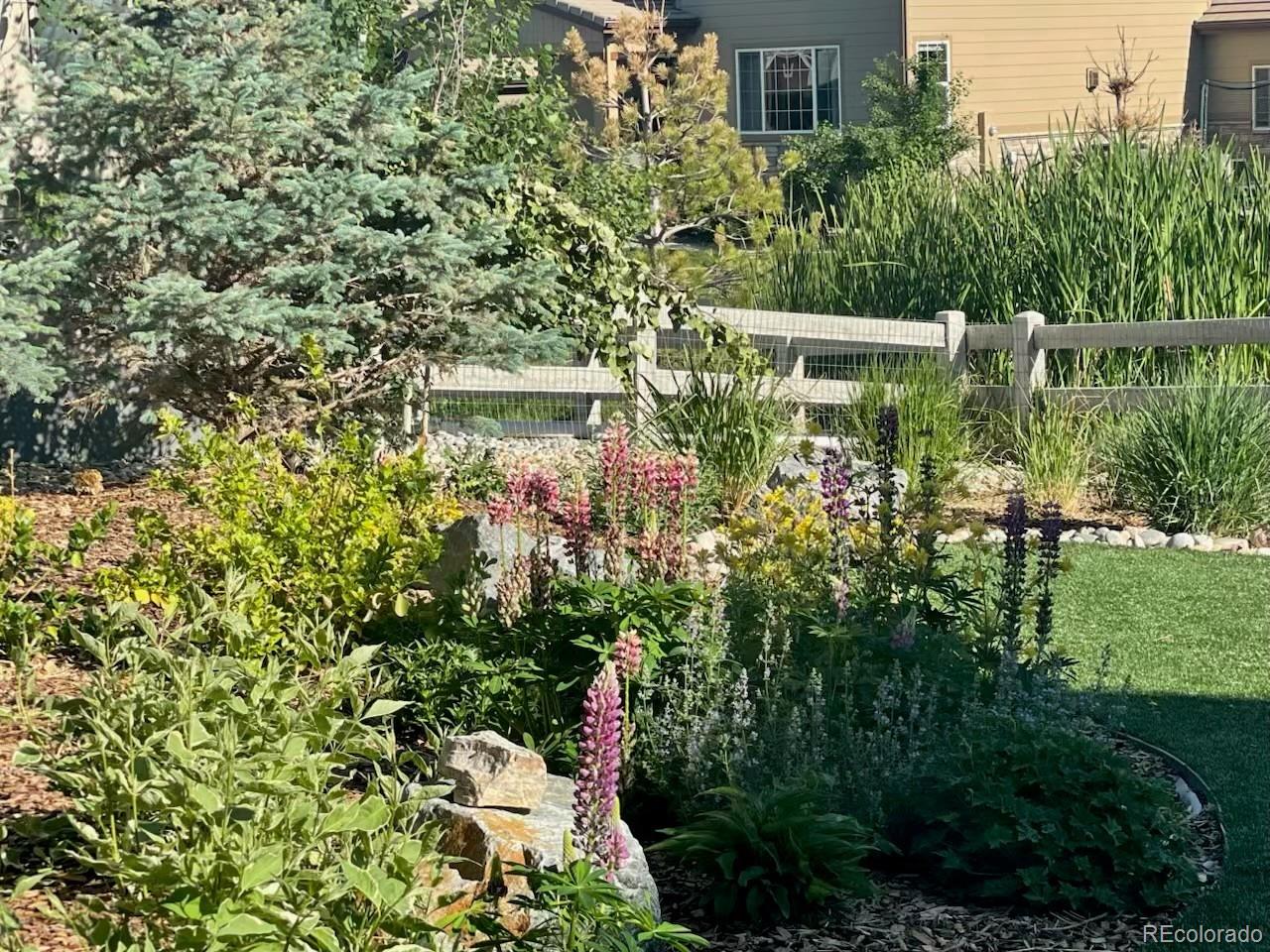 MLS Image #44 for 10526  fairhurst way,highlands ranch, Colorado