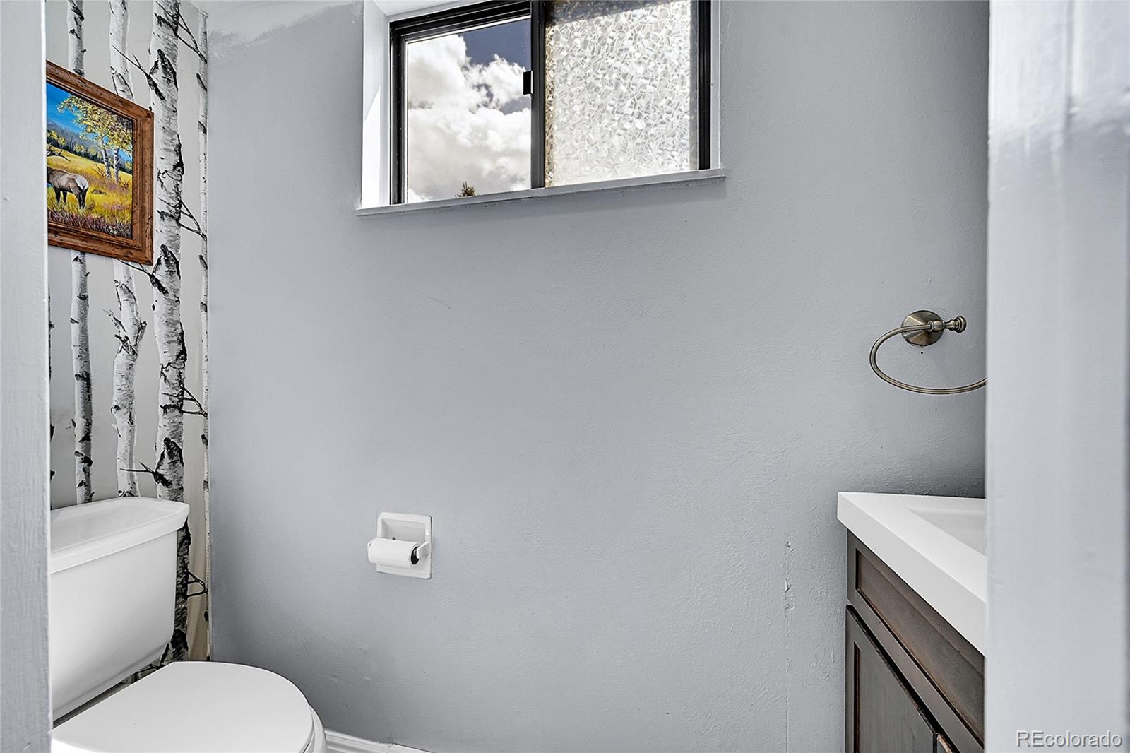 MLS Image #16 for 10704  moore street,broomfield, Colorado