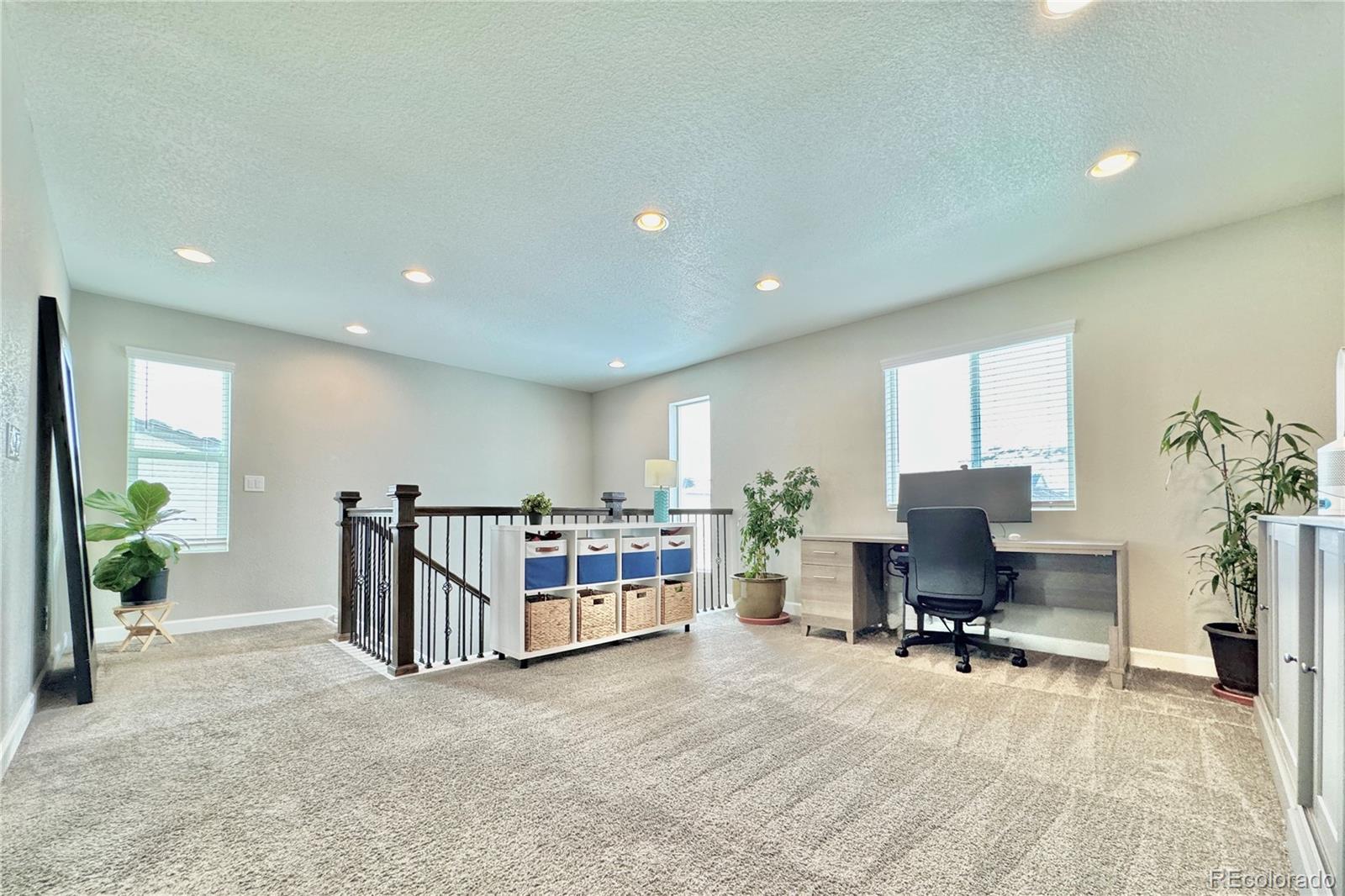 MLS Image #17 for 3734  makley circle,castle rock, Colorado