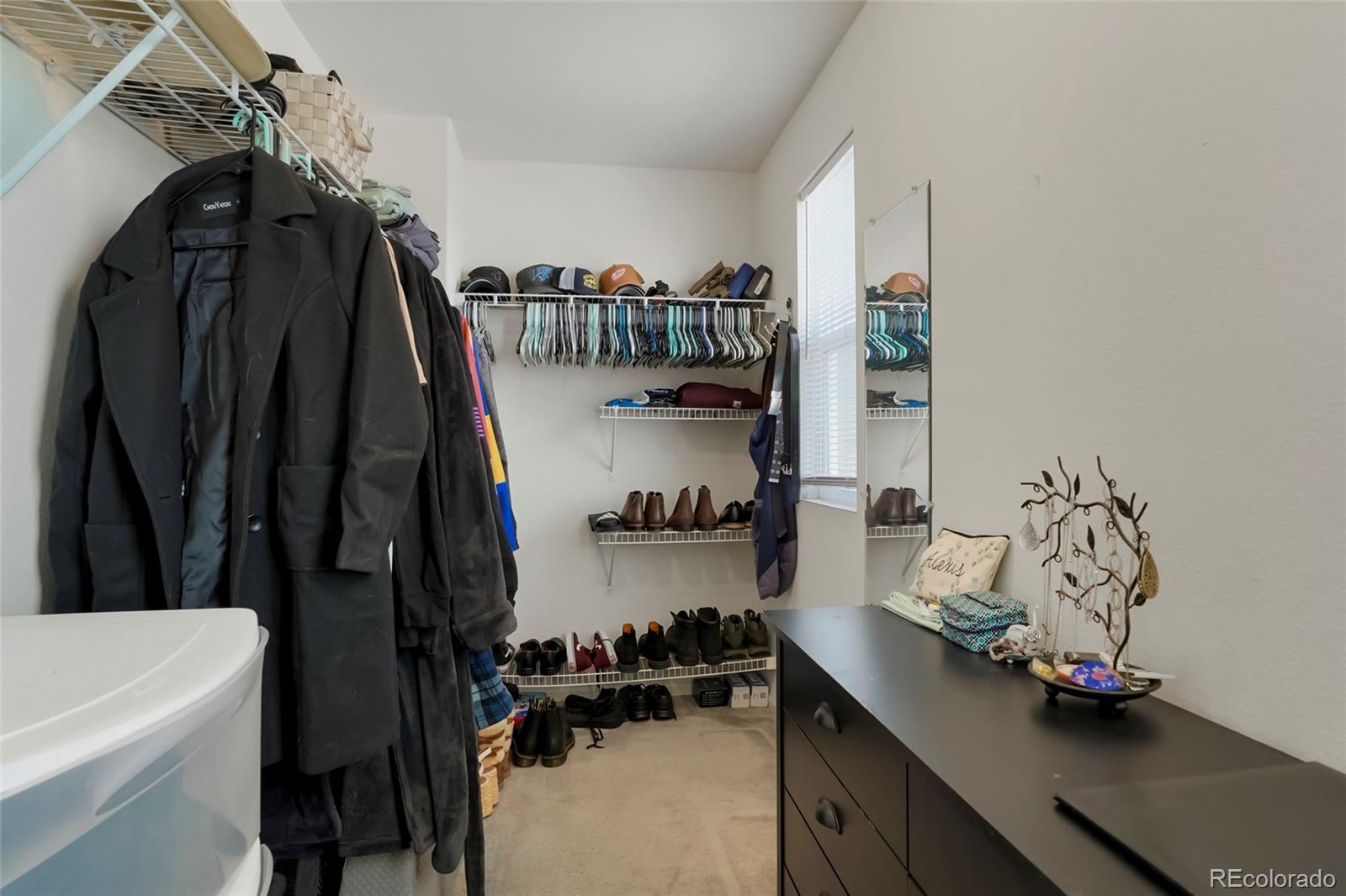 MLS Image #11 for 334  feather place,lochbuie, Colorado