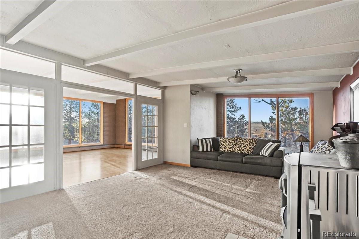 MLS Image #8 for 428 n perry park road,sedalia, Colorado