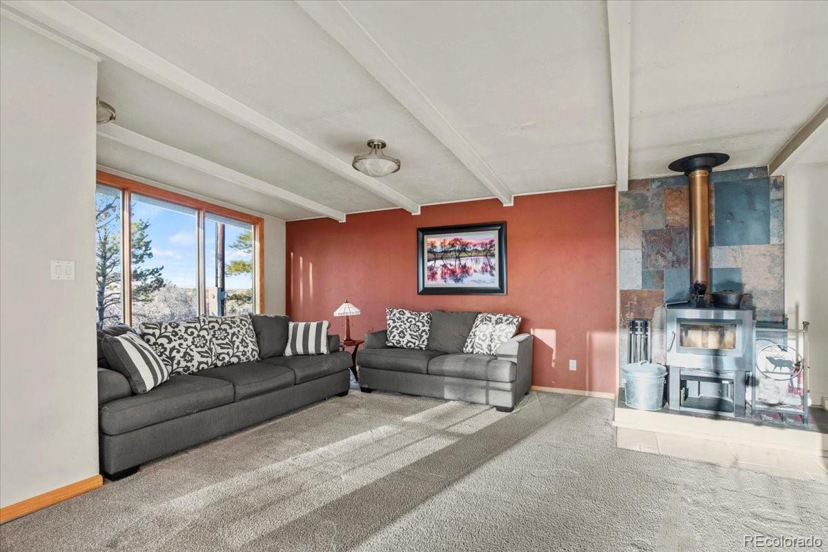 MLS Image #9 for 428 n perry park road,sedalia, Colorado