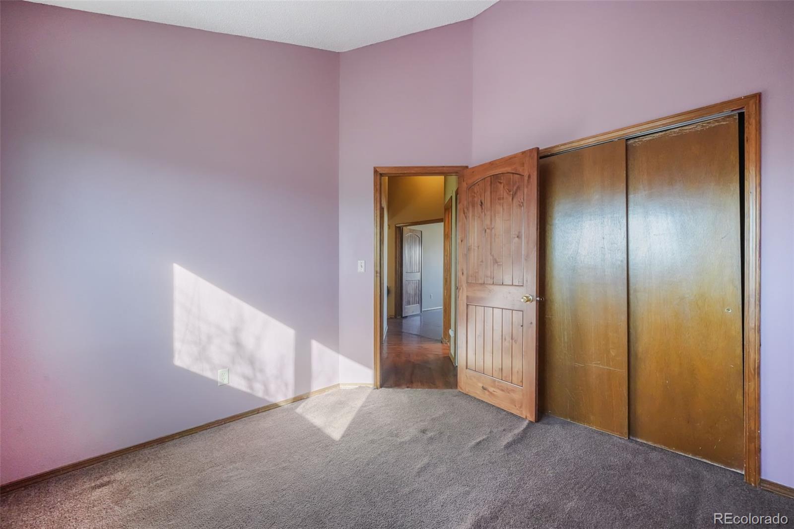 MLS Image #27 for 3815  sedgewood way,colorado springs, Colorado