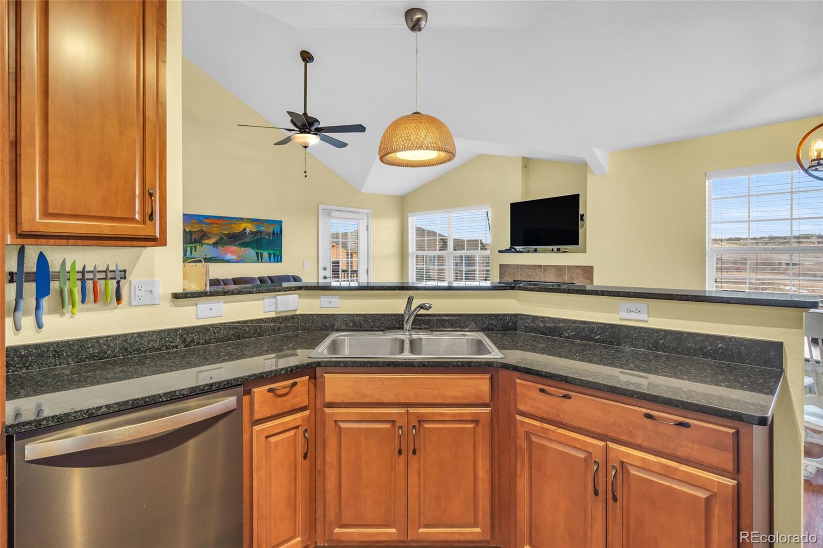 MLS Image #14 for 17525  wilde avenue,parker, Colorado