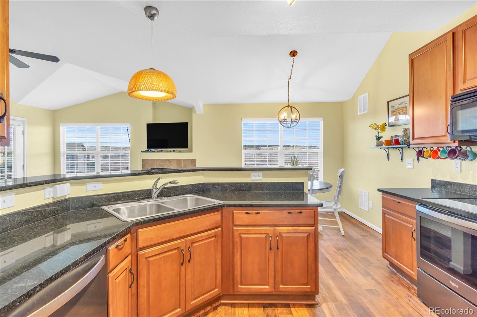 MLS Image #17 for 17525  wilde avenue,parker, Colorado
