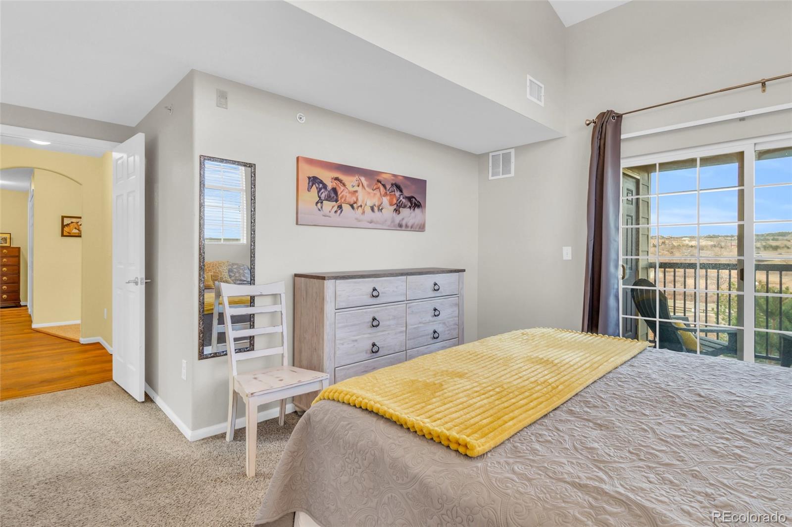 MLS Image #21 for 17525  wilde avenue,parker, Colorado