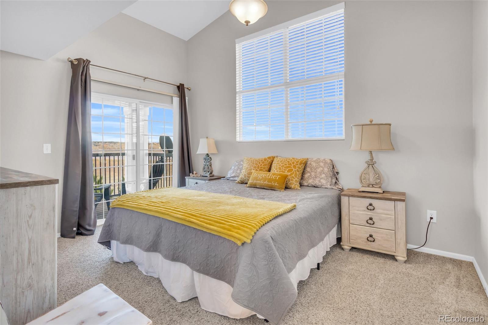 MLS Image #22 for 17525  wilde avenue,parker, Colorado