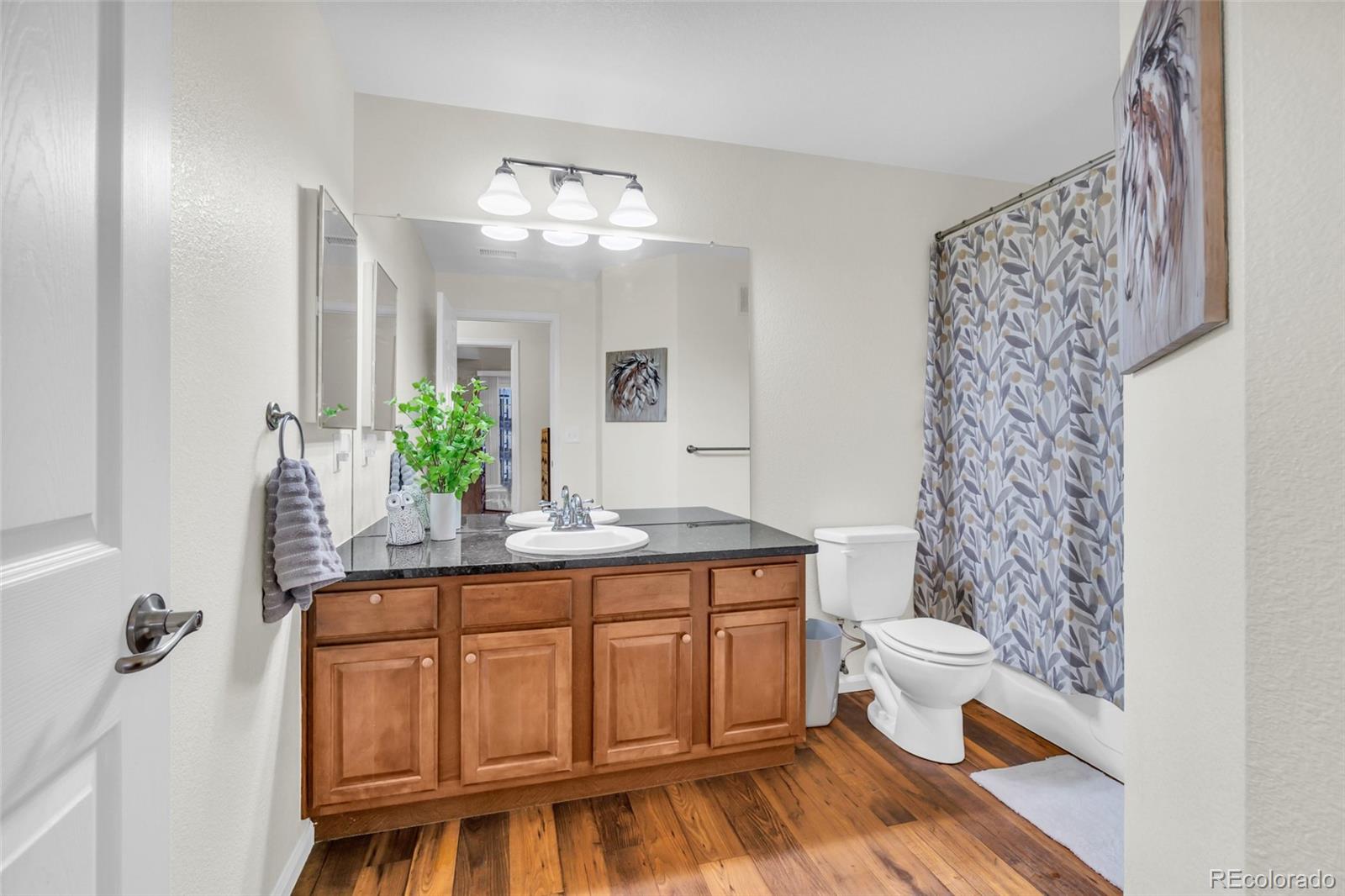 MLS Image #30 for 17525  wilde avenue,parker, Colorado