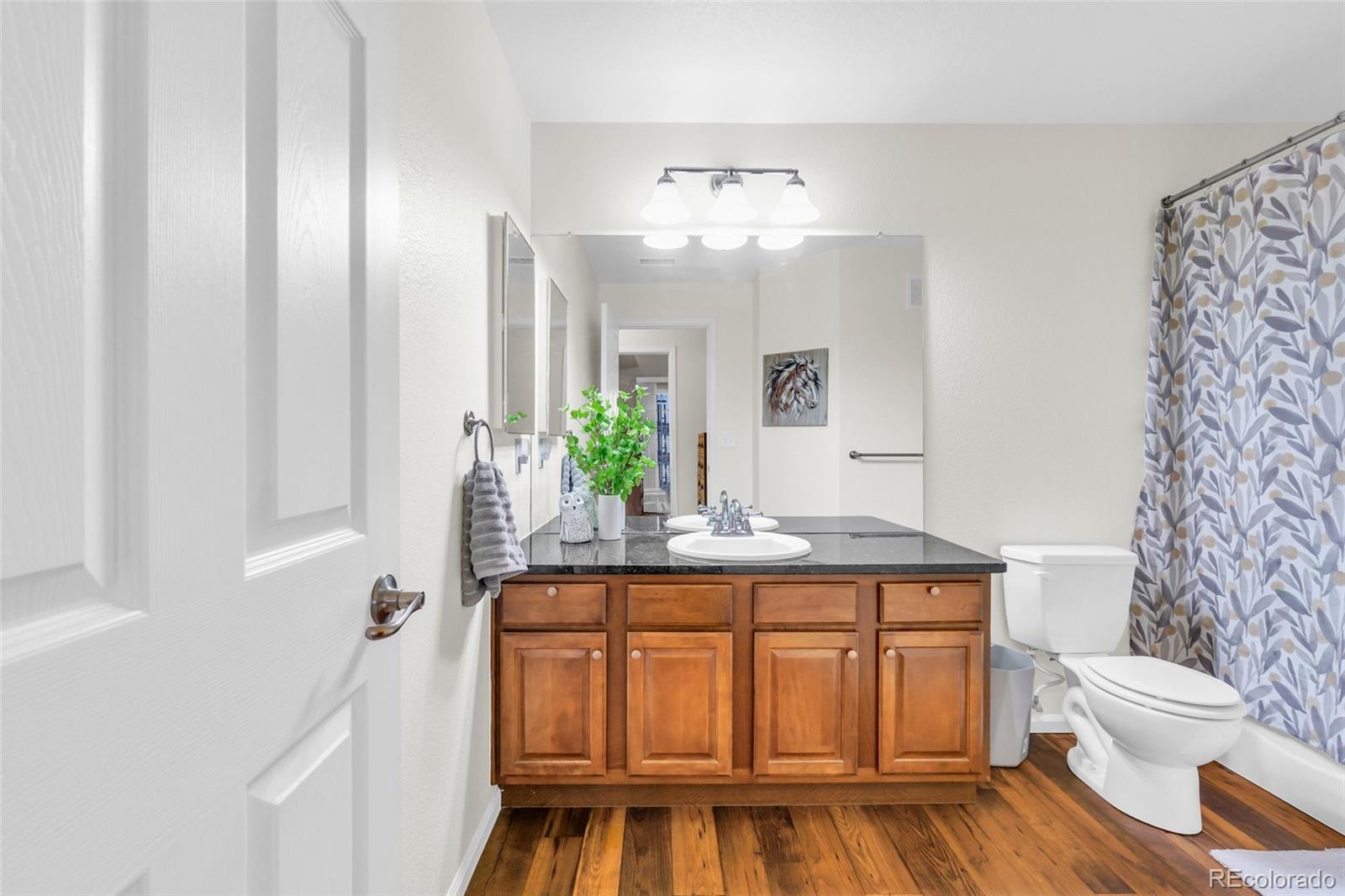 MLS Image #31 for 17525  wilde avenue,parker, Colorado