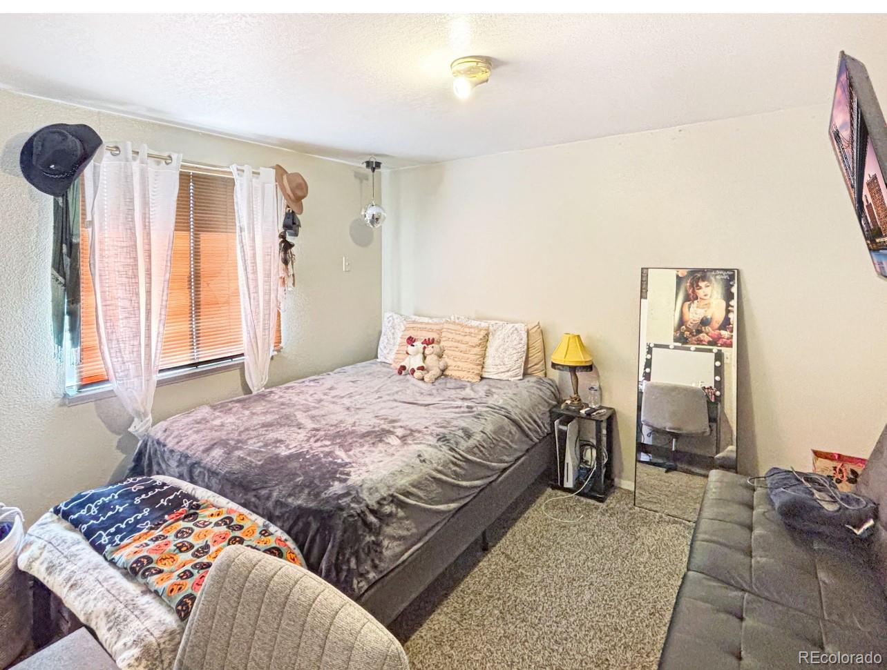 MLS Image #8 for 306  curtis lane,alamosa, Colorado