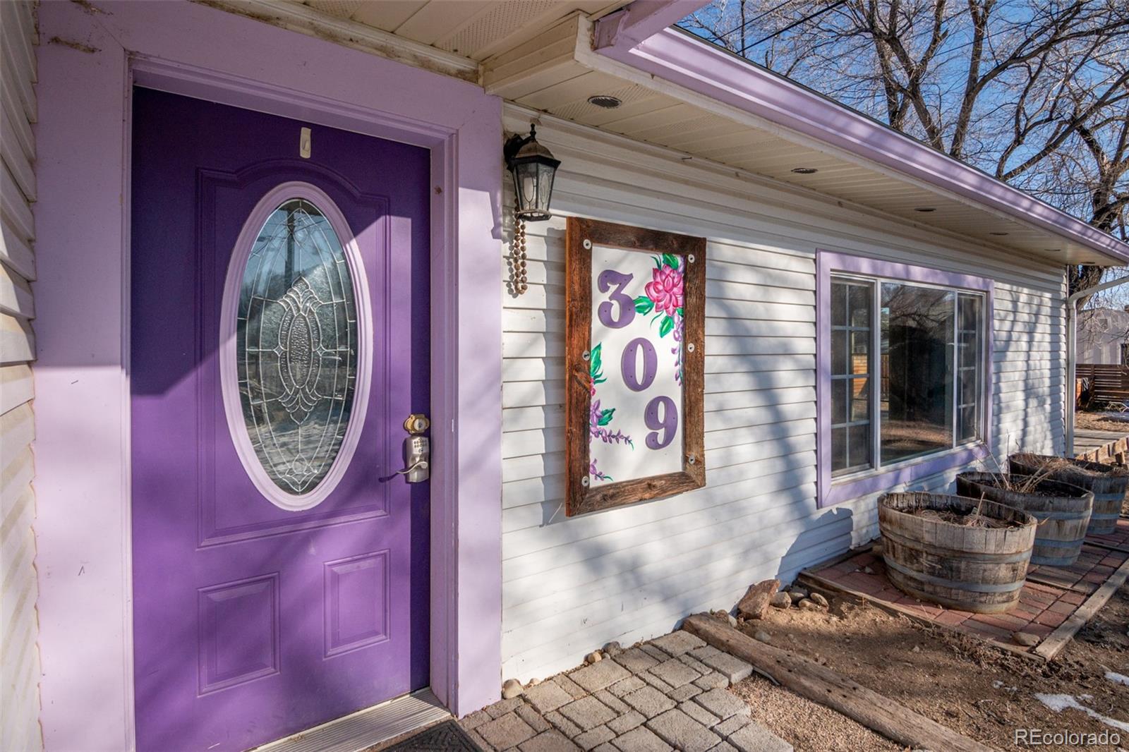 MLS Image #1 for 309 s colorado avenue,buena vista, Colorado