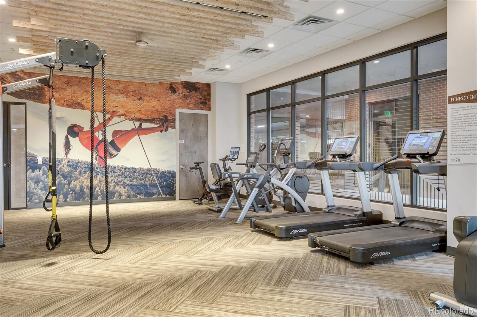 MLS Image #10 for 20  wilcox street,castle rock, Colorado