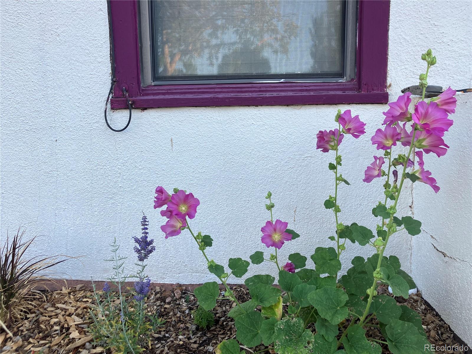 MLS Image #34 for 1313  second street,alamosa, Colorado