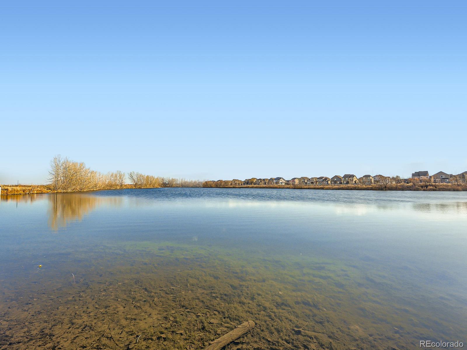 MLS Image #32 for 2715  william neal parkway,fort collins, Colorado
