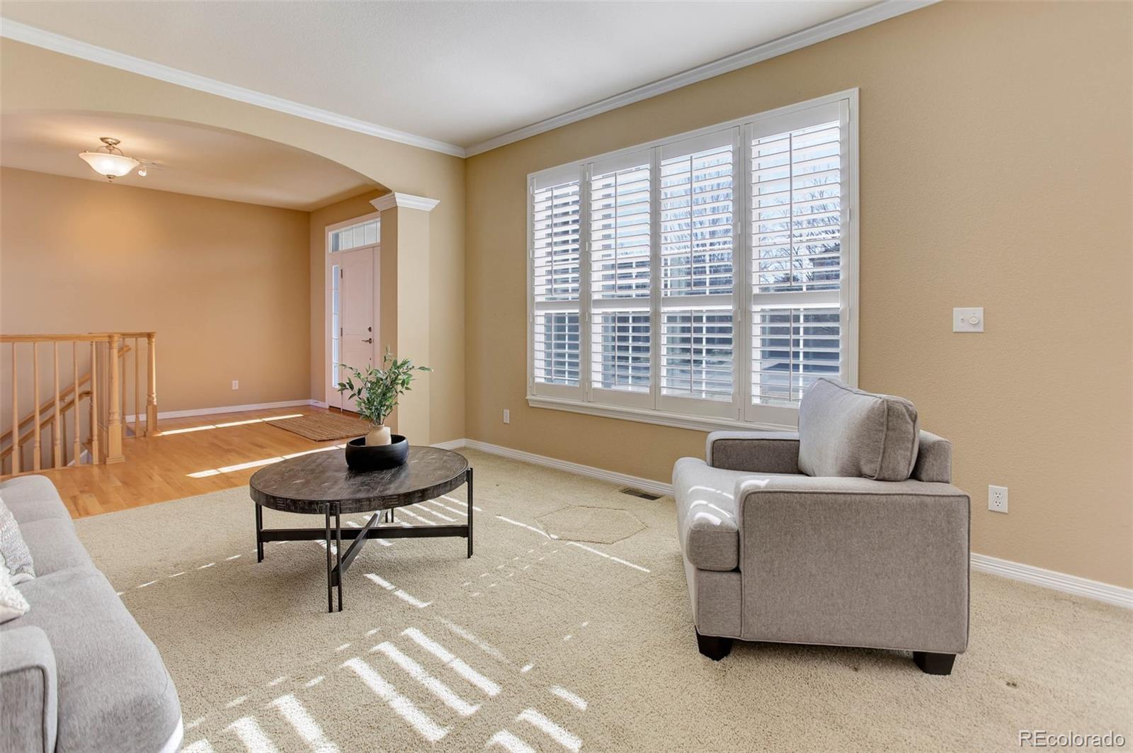 MLS Image #8 for 10169  briargrove way,highlands ranch, Colorado