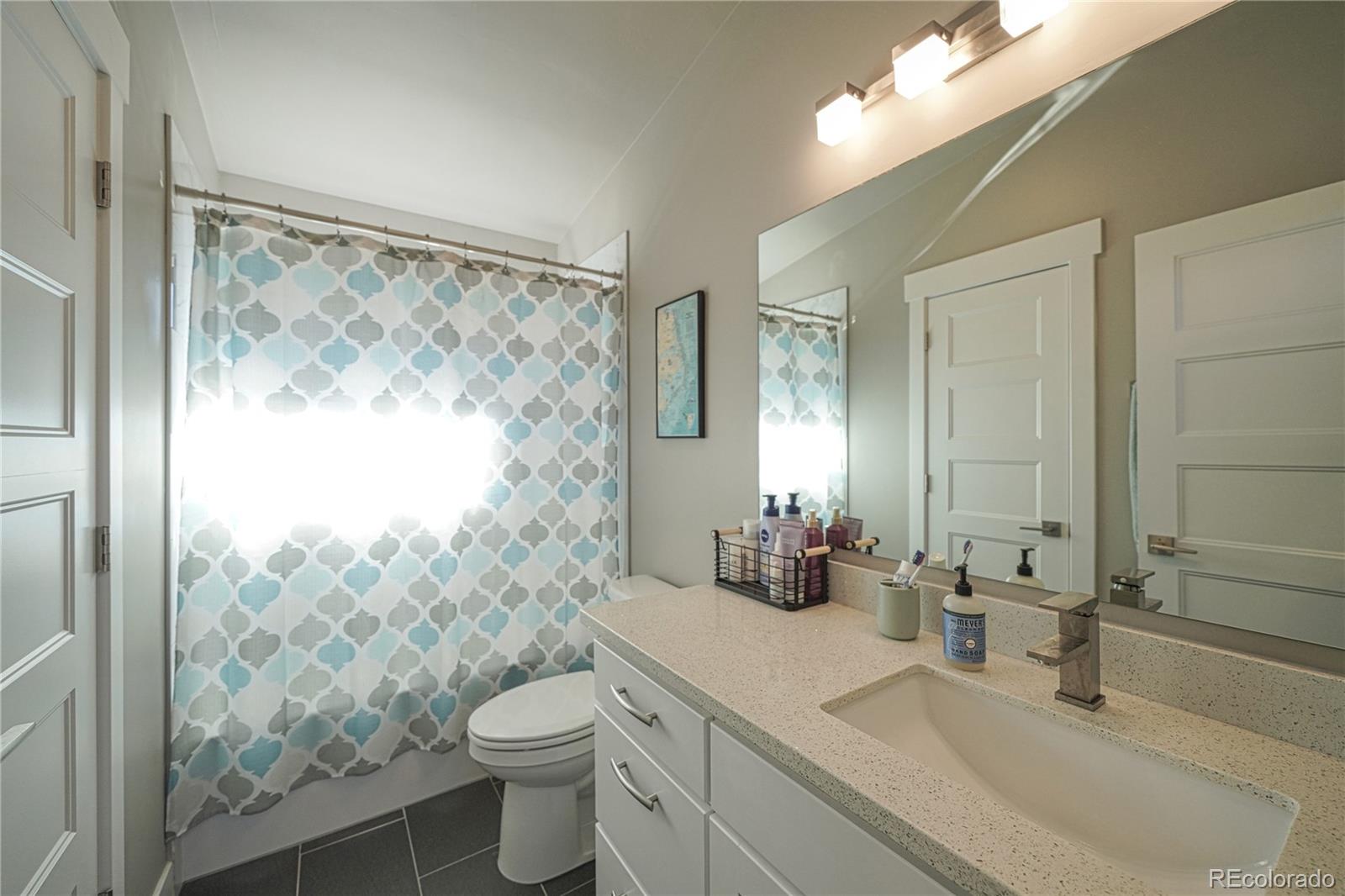 MLS Image #18 for 619 e 9th street,leadville, Colorado