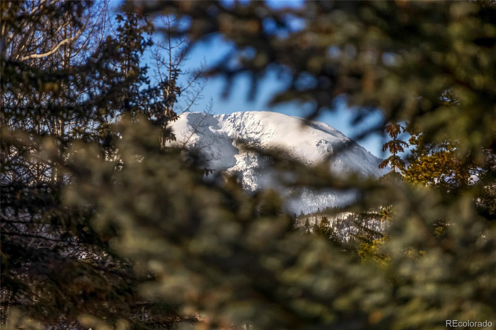 MLS Image #8 for 1473 e keystone road,dillon, Colorado