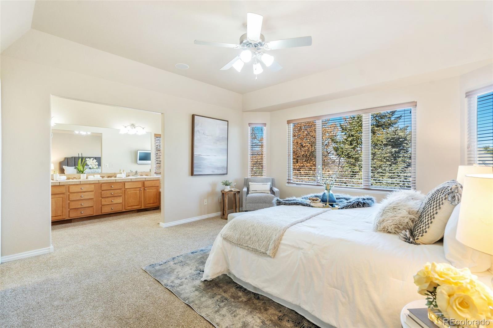 MLS Image #25 for 3245  orion drive,colorado springs, Colorado