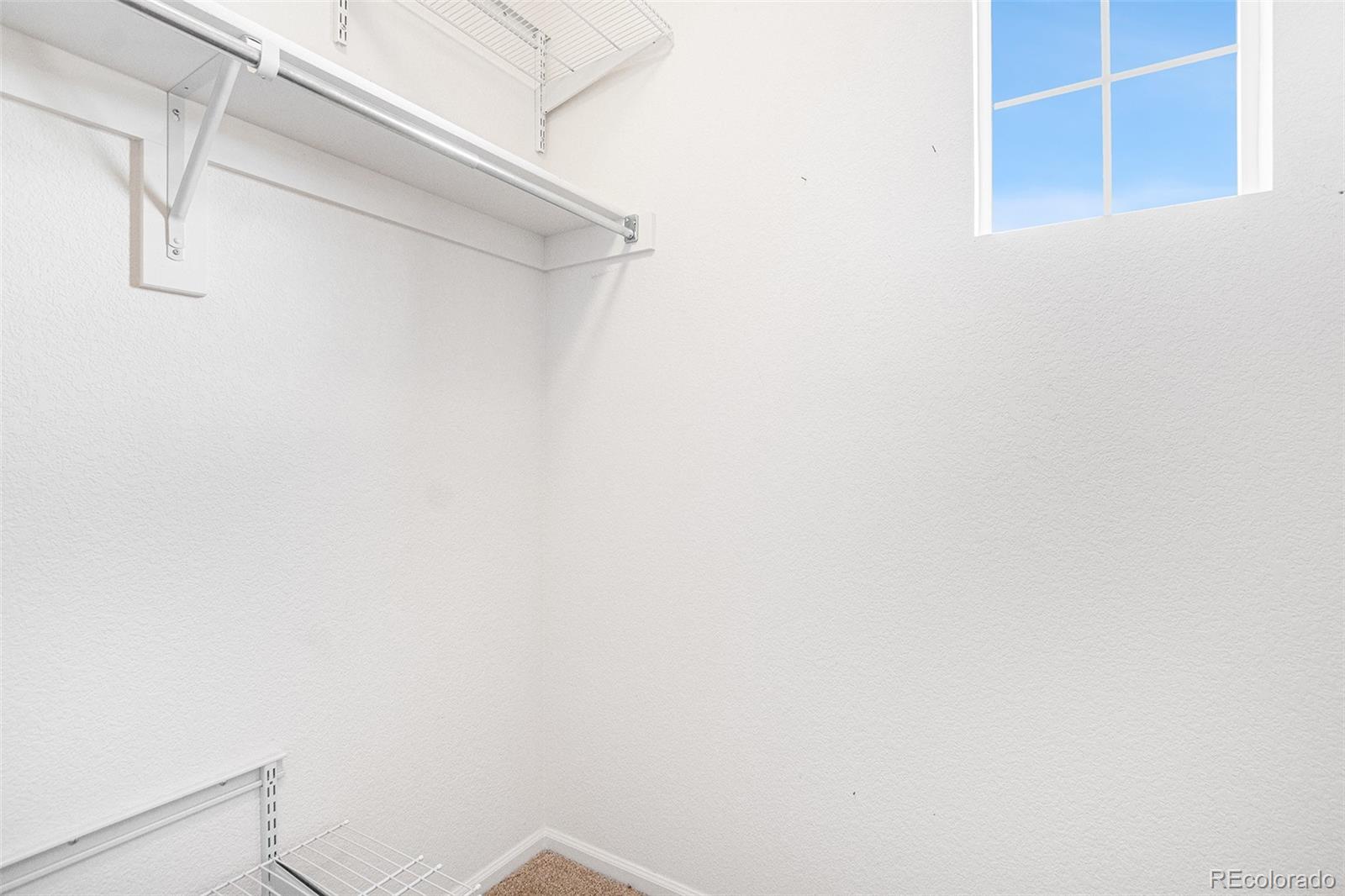 MLS Image #15 for 5410  seal alley,colorado springs, Colorado
