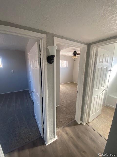 MLS Image #7 for 1240  russell boulevard,thornton, Colorado