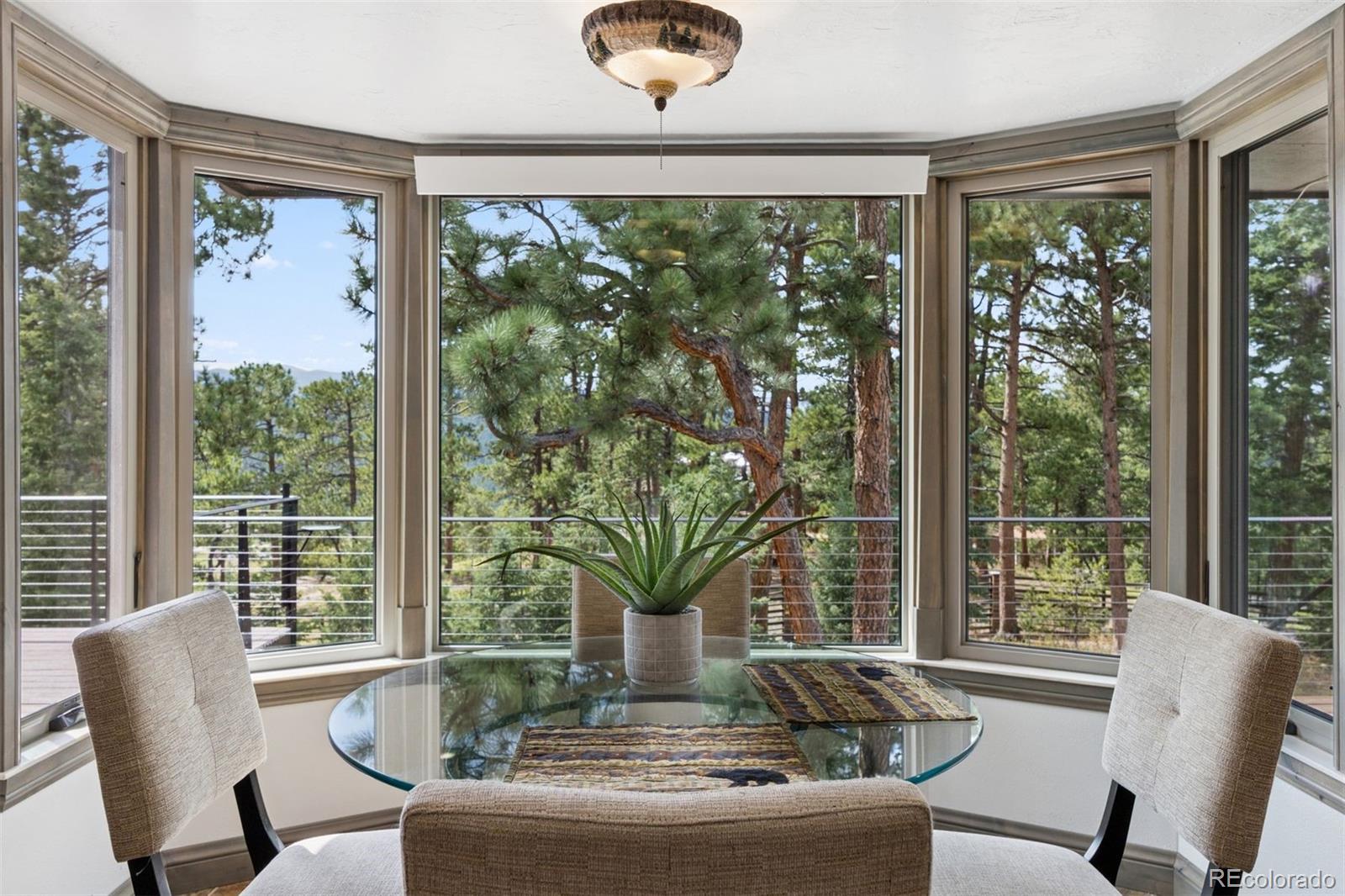 MLS Image #11 for 7845  armadillo trail,evergreen, Colorado