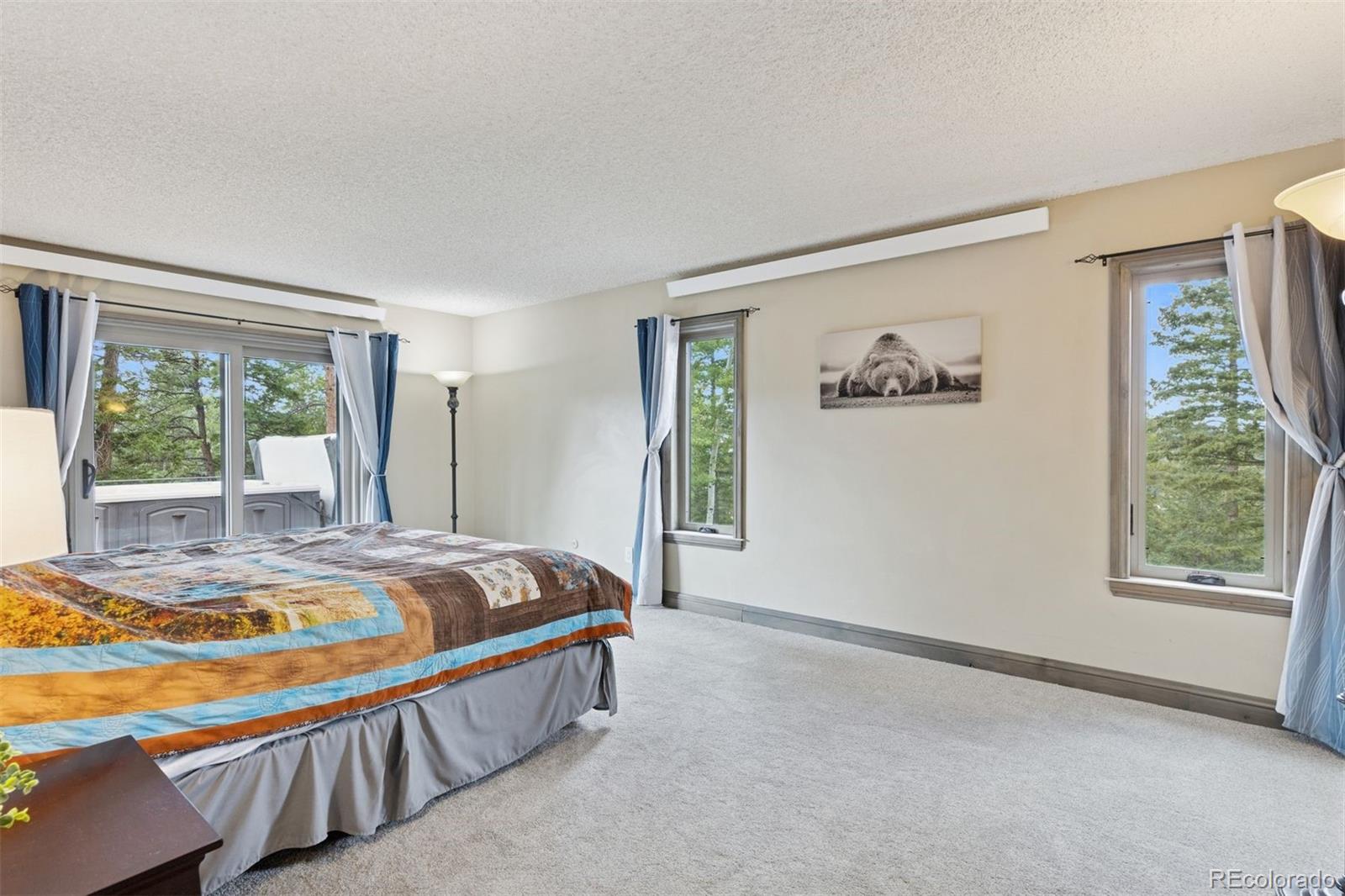 MLS Image #15 for 7845  armadillo trail,evergreen, Colorado