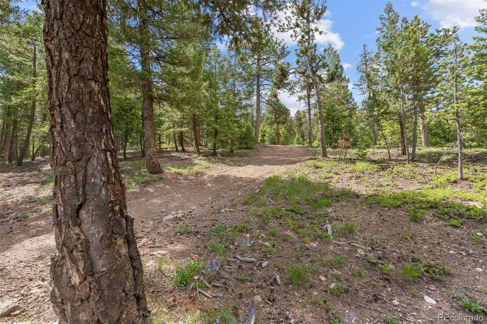 MLS Image #38 for 7845  armadillo trail,evergreen, Colorado